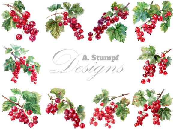 Currants Watercolor Berry Clipart Set