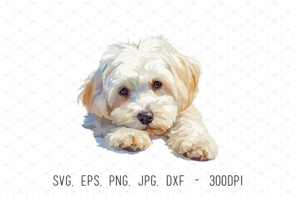 Cute Watercolor Havanese Puppy Art for Creative Projects