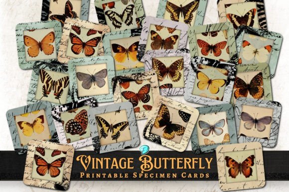 Vintage Butterfly Specimen Cards: A Design Guide