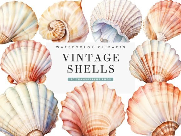 Watercolor Vintage Shells Clipart Bundle: Elevating Your Creative Projects